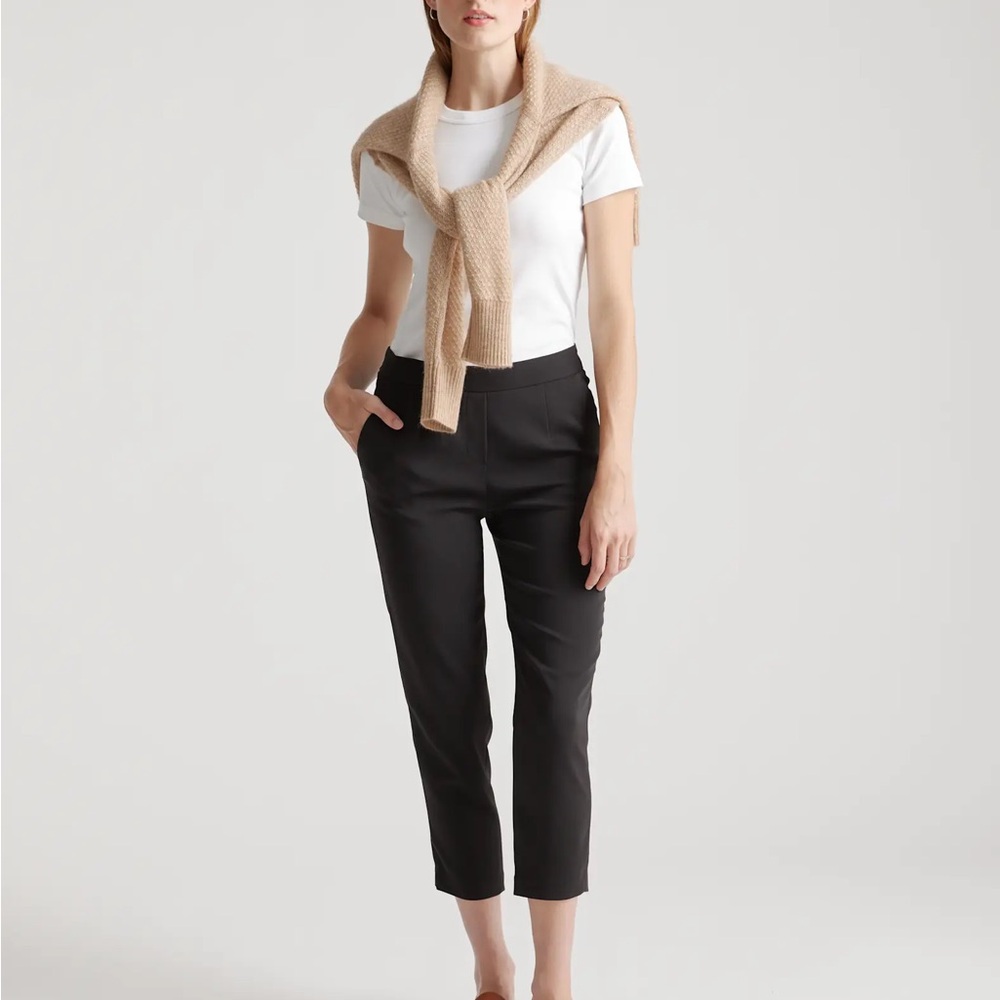 Quince Stretch Crepe Pleated Ankle Pants